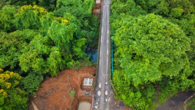 Cuatro puentes en Guanacaste iniciarán obras en abril