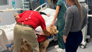 Terapia con mascotas llega a la UCI del Hospital Monseñor Sanabria