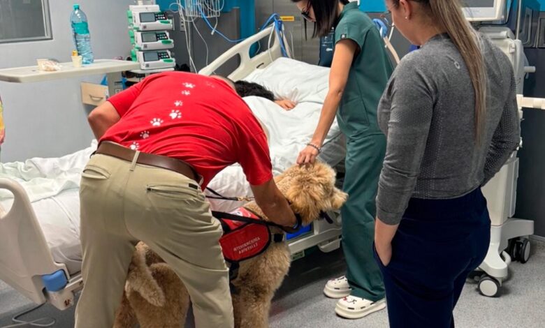 Terapia con mascotas llega a la UCI del Hospital Monseñor Sanabria