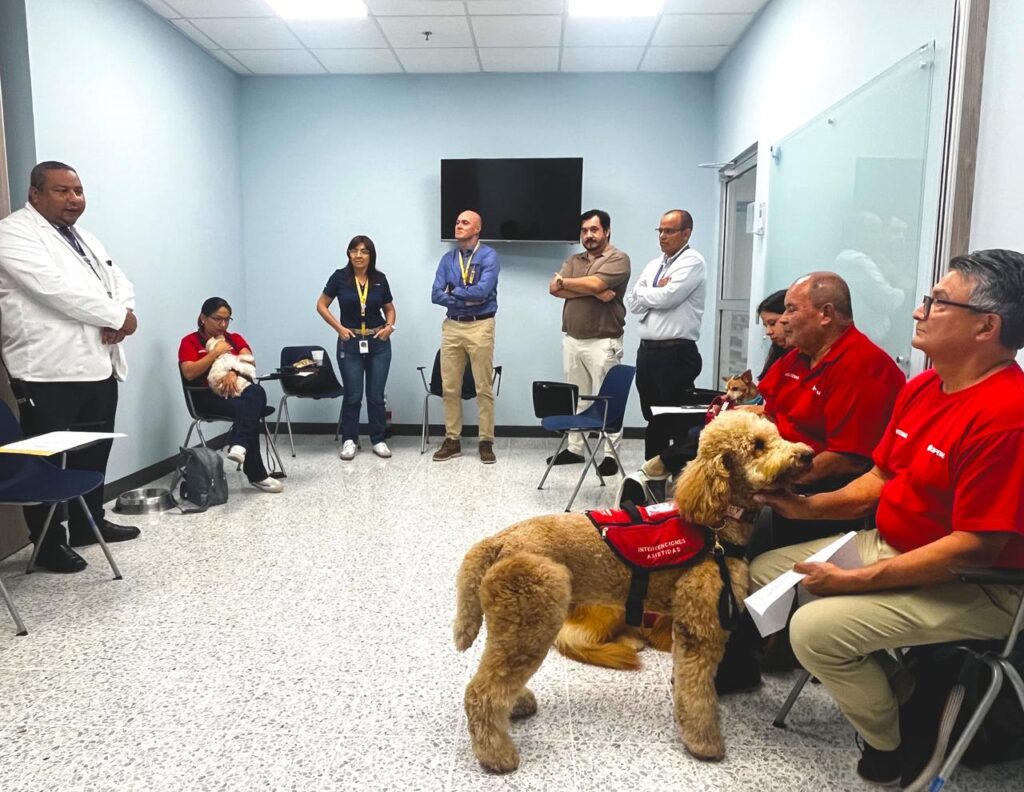 Terapia con mascotas llega a la UCI del Hospital Monseñor Sanabria