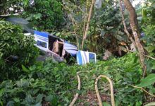 Avioneta accidentada en La Fortuna de San Carlos