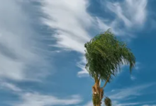 Así le beneficia las condiciones del tiempo este sábado en el país