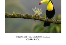 Costa Rica, mejor destino de naturaleza en los Forbes Travel Awards 2026