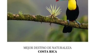 Costa Rica, mejor destino de naturaleza en los Forbes Travel Awards 2026