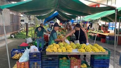 Consumidores acceden a alimentos más seguros y justos tras inversión del INDER