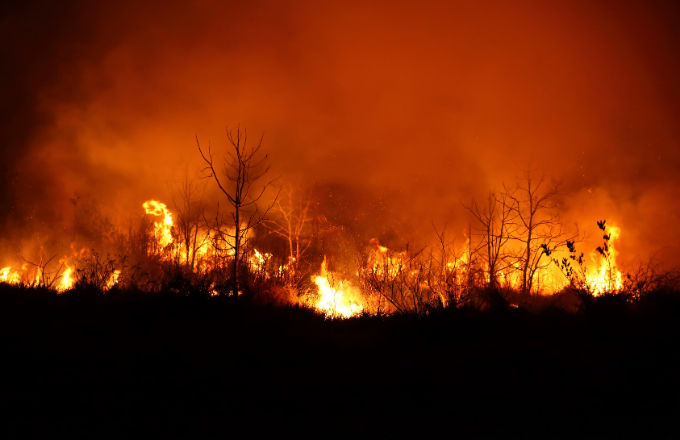 Investigación de la UNED revela causas de incendios en el Parque La Amistad y plantea cómo prevenirlos