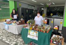 Salud realizará miniferias para orientar sobre trámites sanitarios en marzo