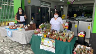 Salud realizará miniferias para orientar sobre trámites sanitarios en marzo