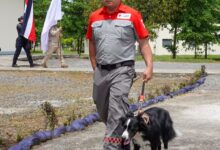 Policía y Cruz Roja se capacitan para mejorar rescates con perros