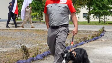 Policía y Cruz Roja se capacitan para mejorar rescates con perros