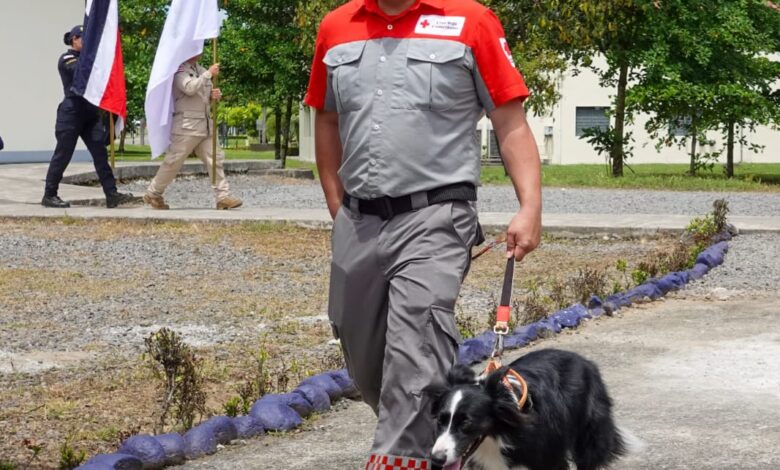 Policía y Cruz Roja se capacitan para mejorar rescates con perros
