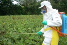 Receta digital mejora control para la preescripción de agroquímicos