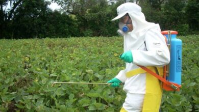 Receta digital mejora control para la preescripción de agroquímicos