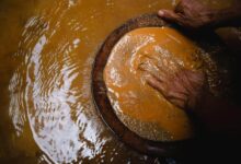 Proyecto busca cerrar portillo a exportación de oro ilegal en Costa Rica