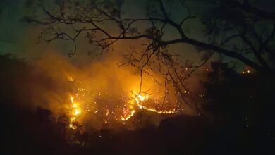 Incendio forestal afecta 200 hectáreas del Parque Nacional Diriá