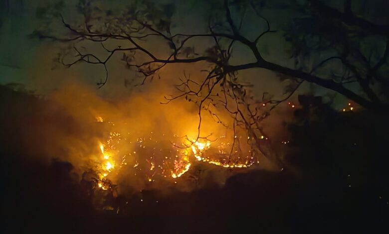 Incendio forestal afecta 200 hectáreas del Parque Nacional Diriá