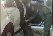 Operativo fronterizo destapó hallazgo que alerta a las autoridades en Golfito