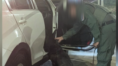 Operativo fronterizo destapó hallazgo que alerta a las autoridades en Golfito