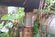 Derrame de diésel genera alerta por daño ambiental en Limón