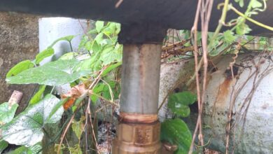 Derrame de diésel genera alerta por daño ambiental en Limón