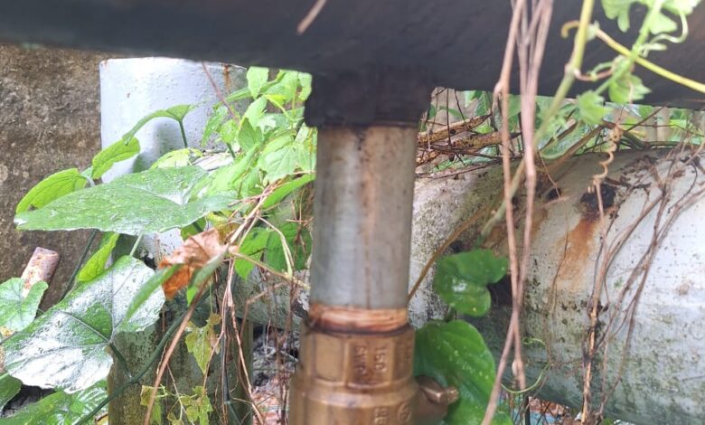 Derrame de diésel genera alerta por daño ambiental en Limón