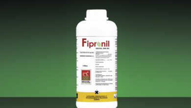 Sala Constitucional ordena retiro de insecticidas con Fipronil tras impacto en abejas