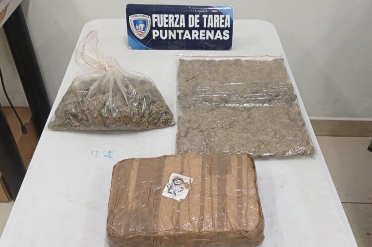 Operativos policiales permiten decomisos y captura de prófugo en varias zonas del país