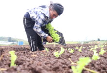 Inversión moderniza planta y beneficia 144 familias de Turrialba