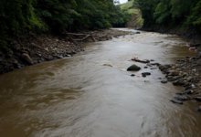 Río Virilla es una "bomba de tiempo" sanitaria
