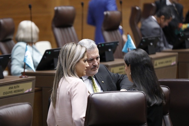 Asamblea define integración de comisiones plenas 2026-2027
