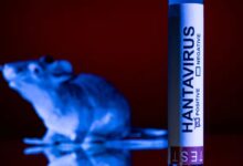 ¿Hay casos de hantavirus en Costa Rica? Salud responde