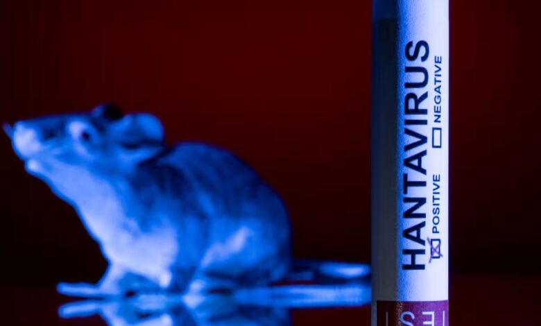 ¿Hay casos de hantavirus en Costa Rica? Salud responde