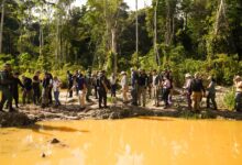 La ruta del oro de Crucitas: una investigación revela cómo opera la minería ilegal en la frontera