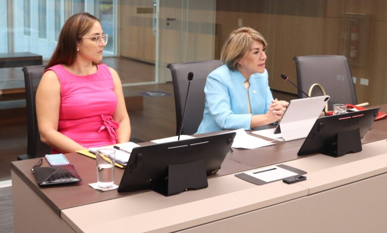 "La economía jaguar ya no llega ni a gatito": magistrada Patricia Solano cuestiona recorte al Poder Judicial