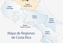 Malaria se concentra en la Región Huetar Norte y preocupa a Salud