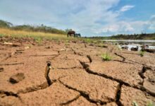 Así se prepara Costa Rica para los efectos de El Niño en 2026 y 2027