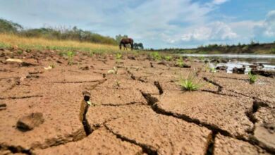 Así se prepara Costa Rica para los efectos de El Niño en 2026 y 2027