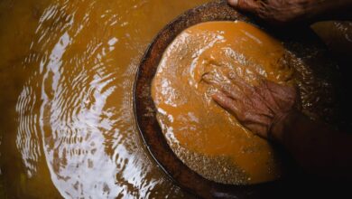 Colegio de Geólogos cuestiona proyecto sobre tokenización del oro en Crucitas