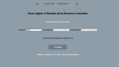 Consultar datos en la web del TSE ya no será igual