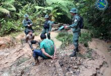 Proyecto plantea mano dura contra coligalleros y financistas de minería ilegal