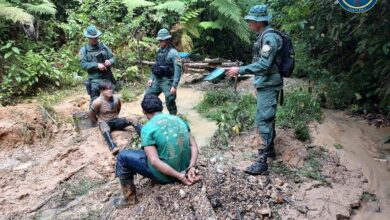 Proyecto plantea mano dura contra coligalleros y financistas de minería ilegal