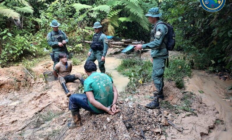 Proyecto plantea mano dura contra coligalleros y financistas de minería ilegal