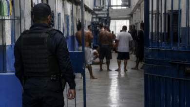Los “jachudos” están en la mira de Justicia