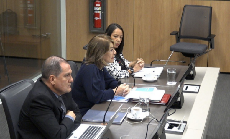 Patricia Solano apoyaría limitar los periodos de los magistrados